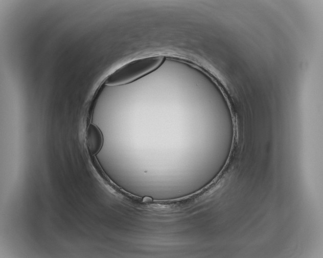 X0000113091500200908280957