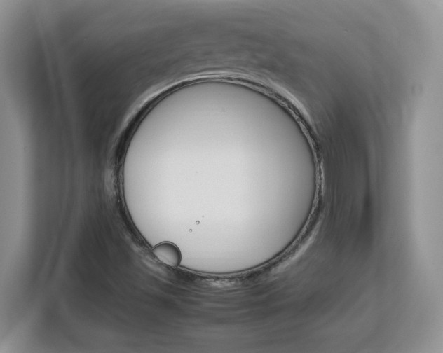 X0000113091501200908280957