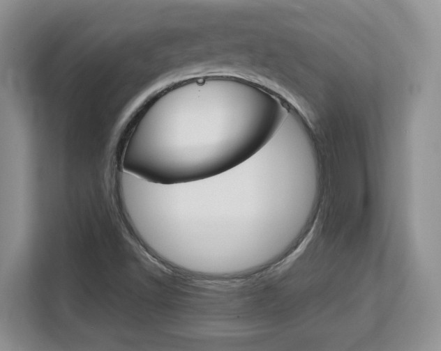 X0000113091502200908280957