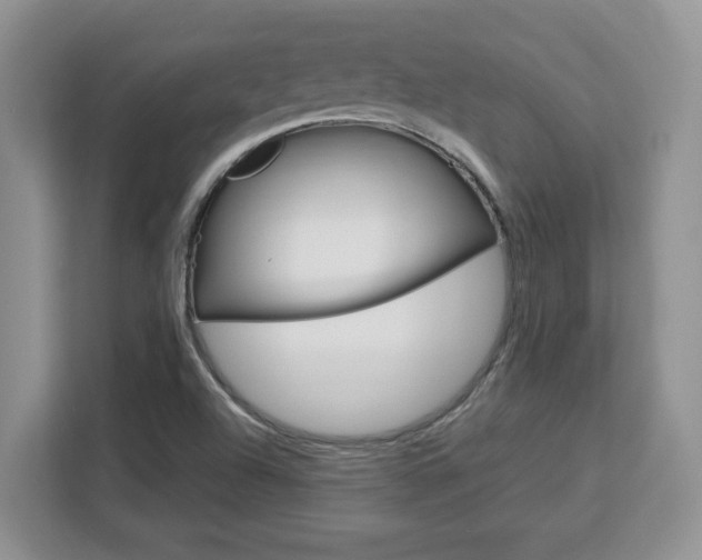 X0000113091504200908280957