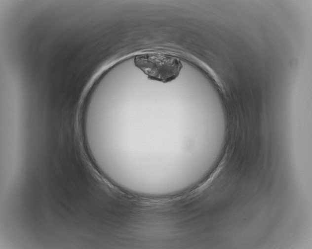 X0000113091506200908280957