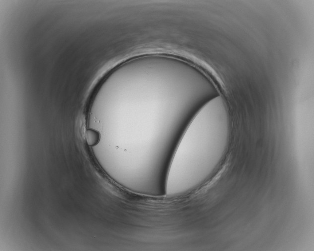 X0000113091509200908280957