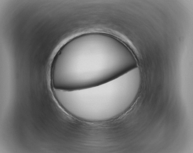 X0000113091512200908280957