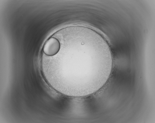X0000113091514200908280957