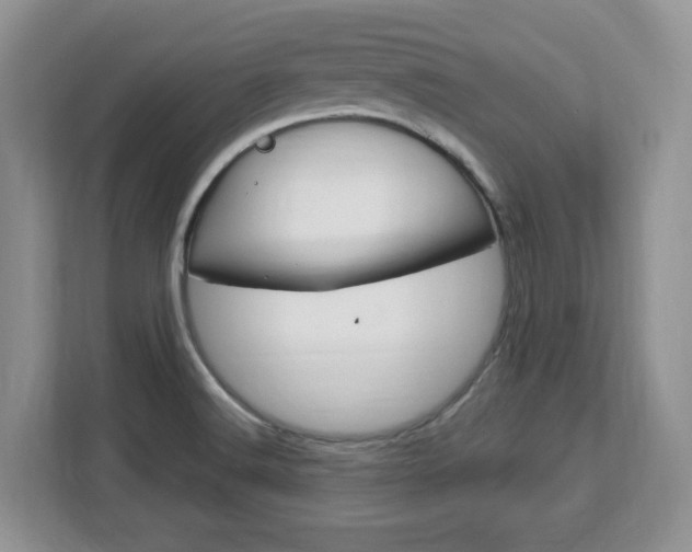 X0000113091516200908280957