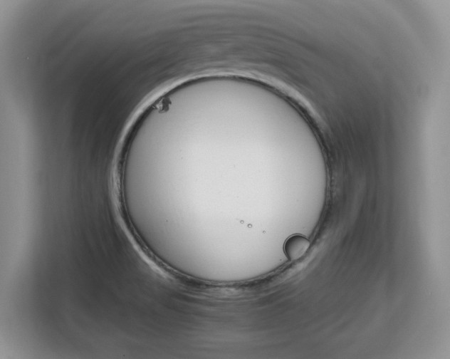 X0000113091517200908280957