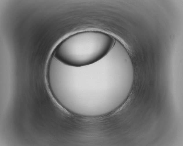 X0000113091518200908280957
