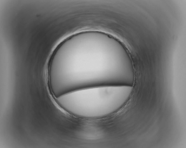 X0000113091519200908280957