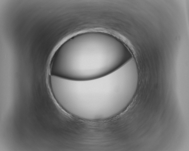 X0000113091520200908280957