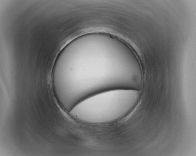 X0000113091521200908280957