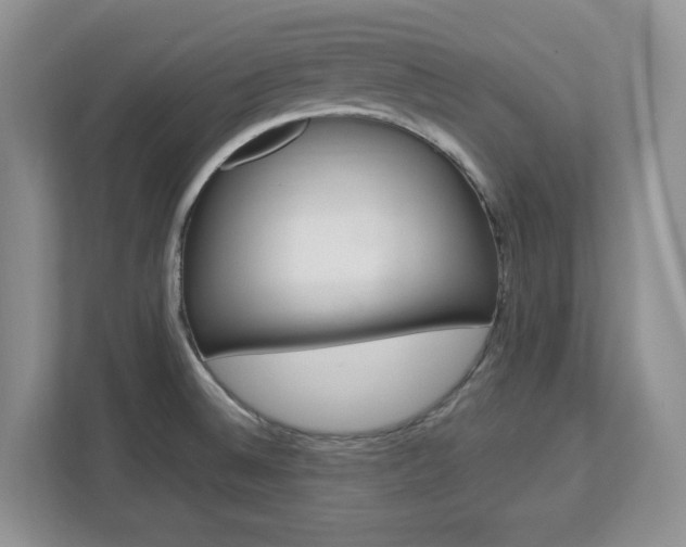 X0000113091524200908280957