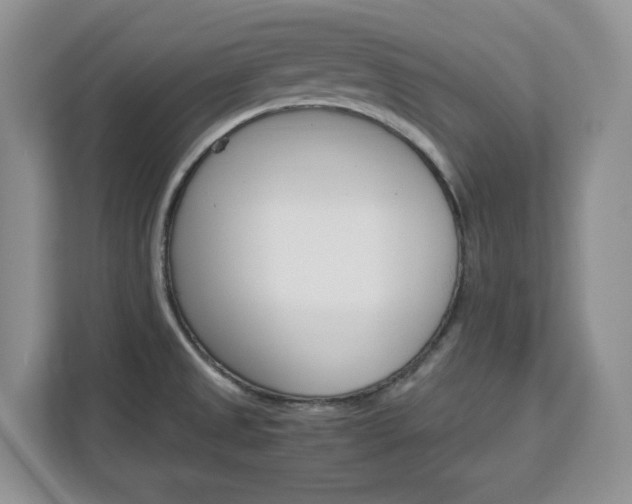 X0000113091525200908280957