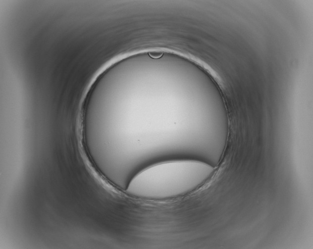 X0000113091526200908280957