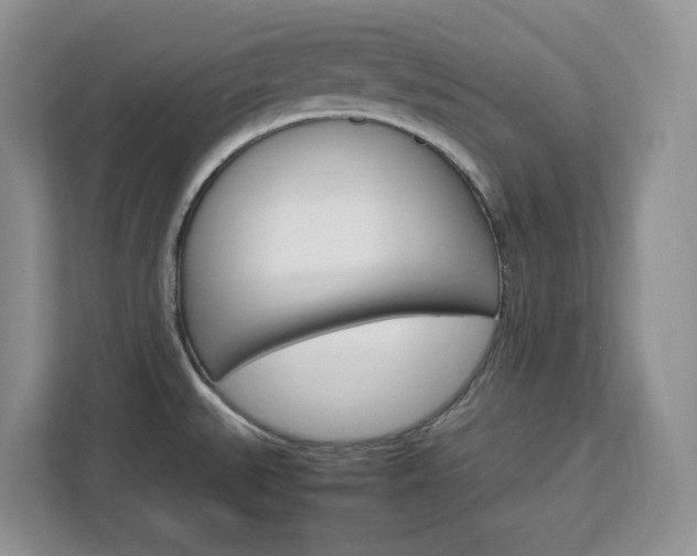 X0000113091527200908280957