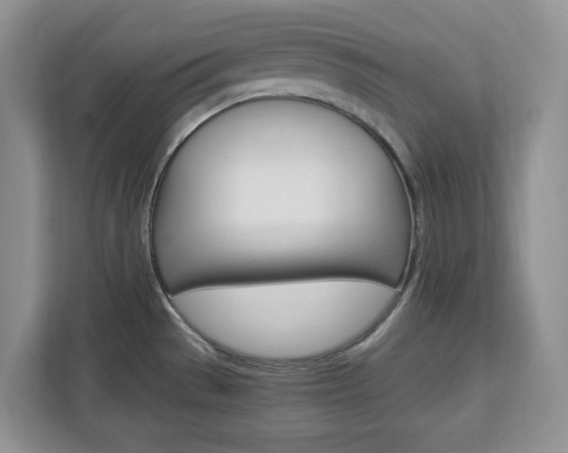 X0000113091529200908280957