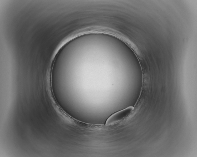 X0000113091530200908280957