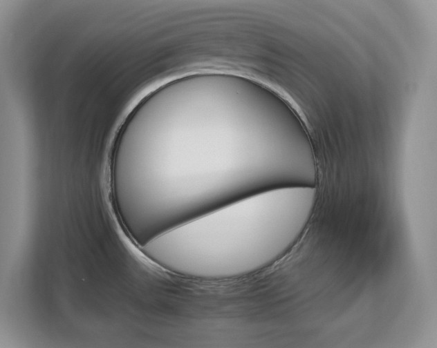X0000113091531200908280957