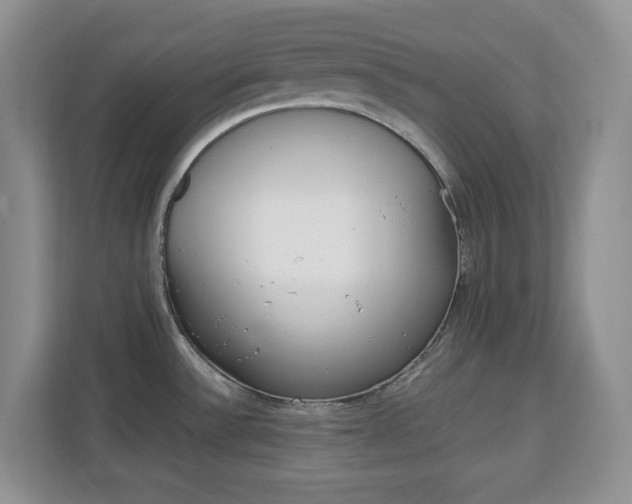 X0000113091532200908280957