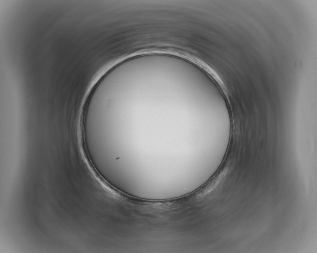 X0000113091533200908280957