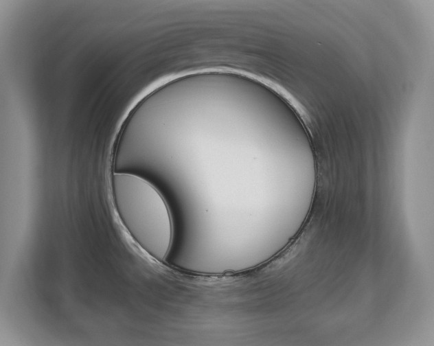 X0000113091534200908280957