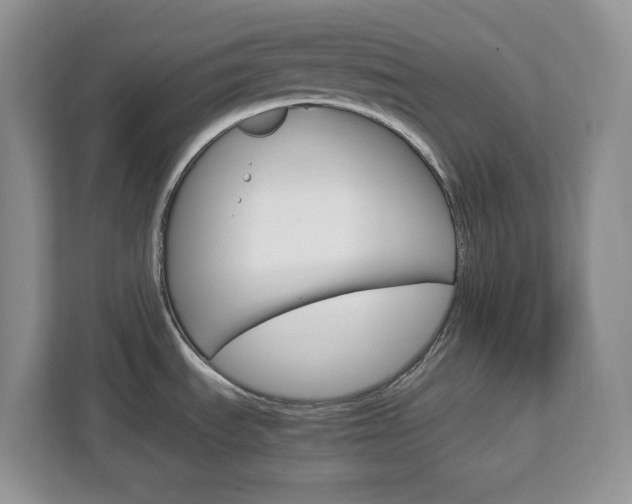 X0000113091535200908280957