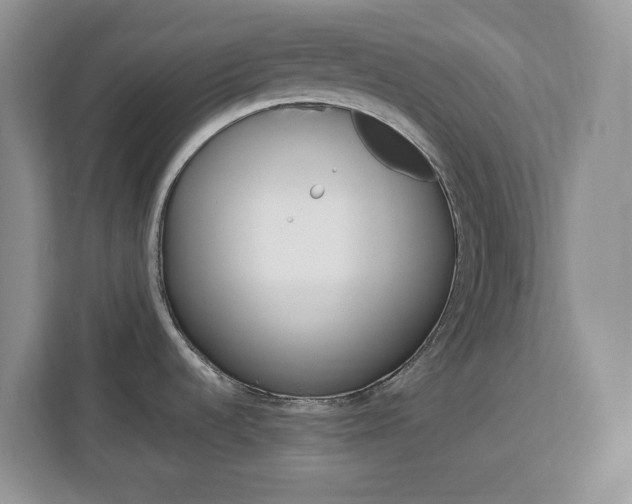 X0000113091536200908280957