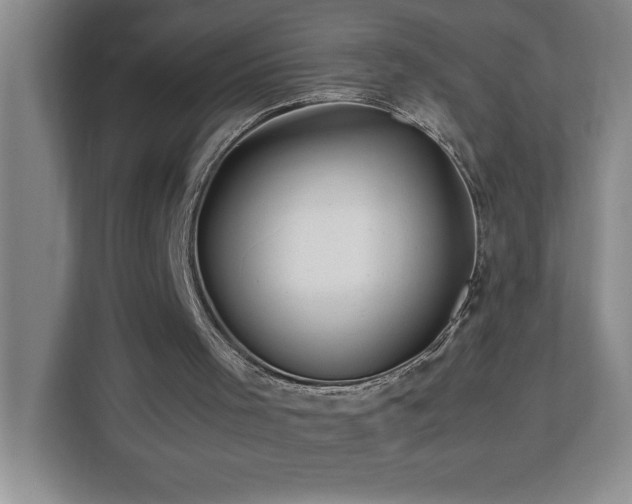 X0000113090001200908281253