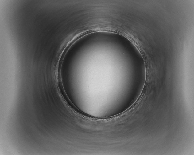 X0000113090002200908281253