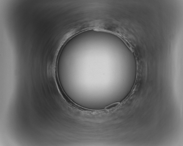X0000113090003200908281253
