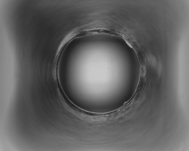 X0000113090004200908281252
