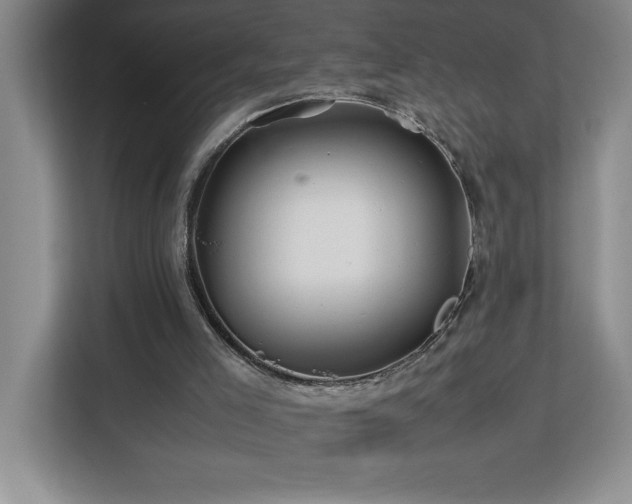 X0000113090005200908281252