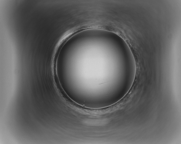 X0000113090006200908281252