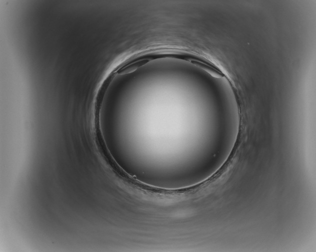 X0000113090008200908281252