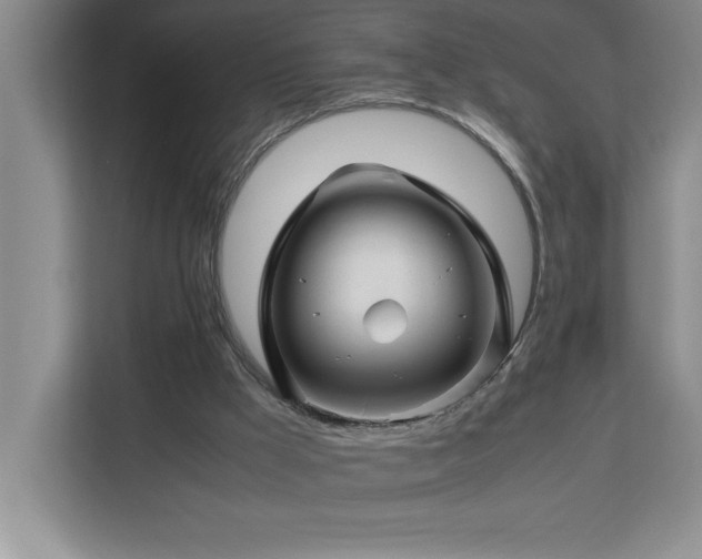 X0000113090009200908281252