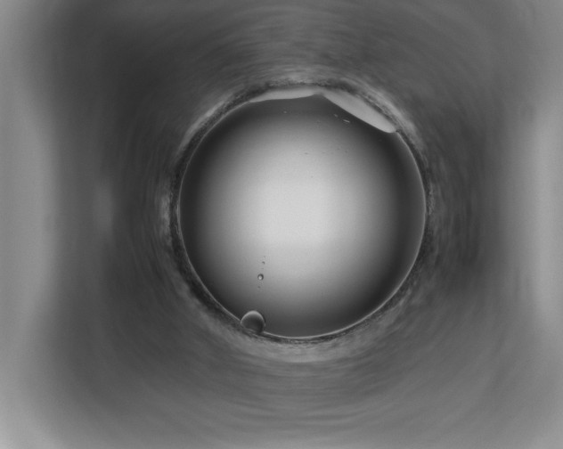 X0000113090010200908281252