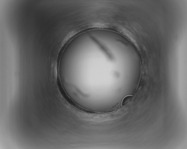 X0000113090011200908281252