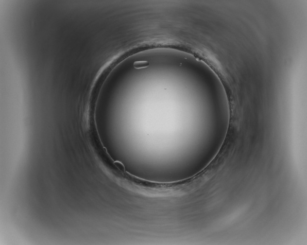 X0000113090012200908281252
