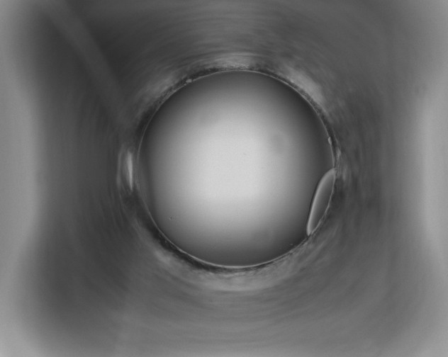 X0000113090013200908281252