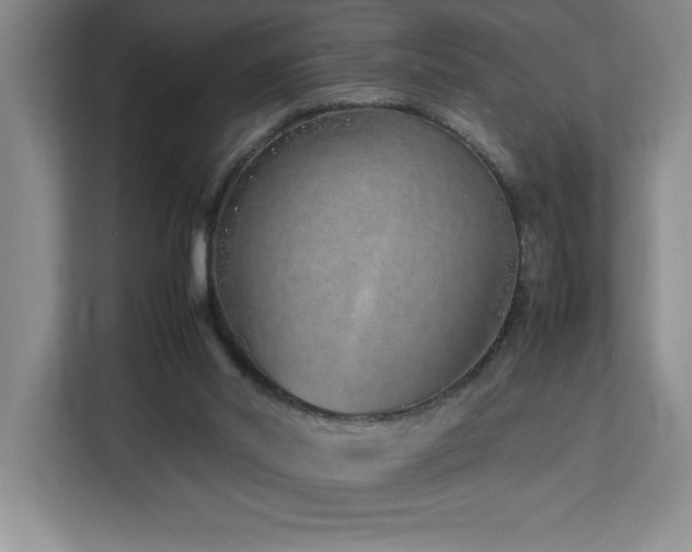 X0000113090014200908281252