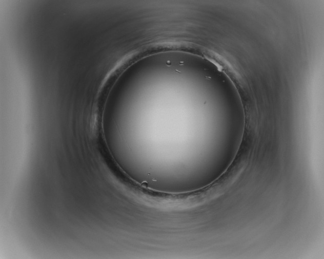 X0000113090016200908281252