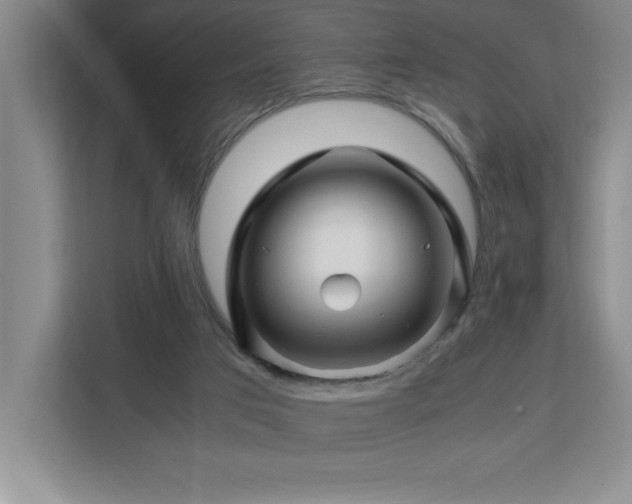 X0000113090017200908281252