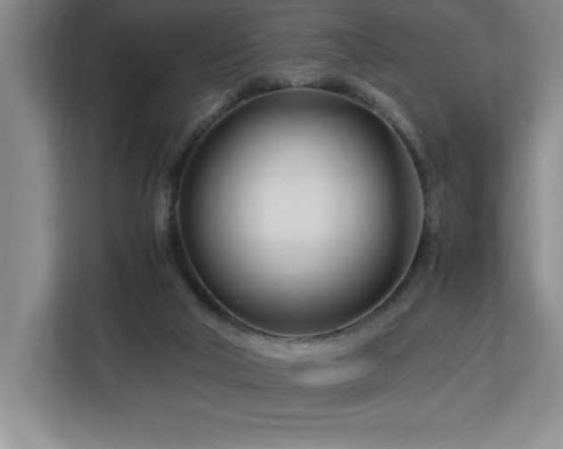 X0000113090018200908281252