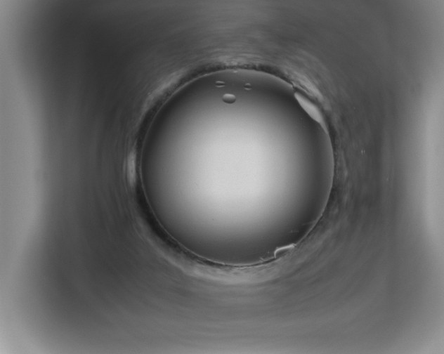 X0000113090019200908281252