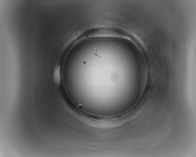 X0000113090020200908281252