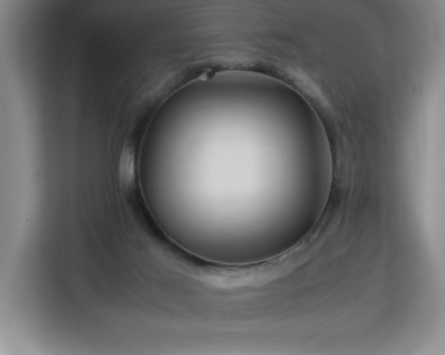 X0000113090021200908281252