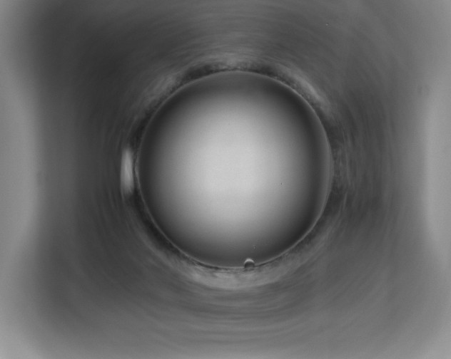 X0000113090022200908281252