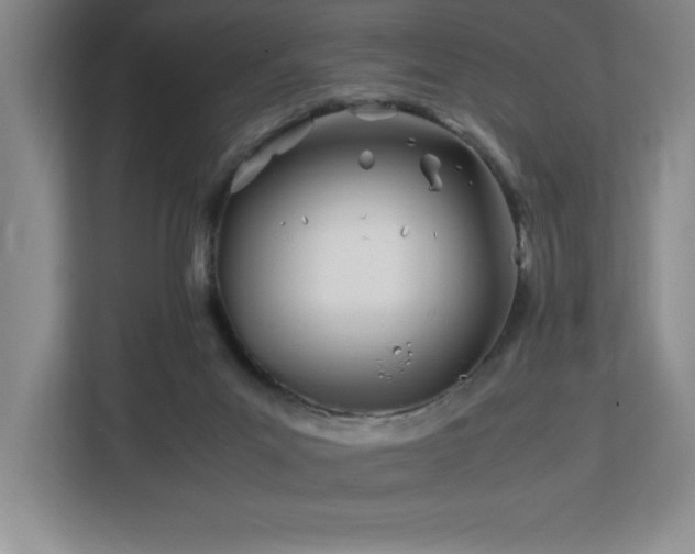 X0000113090023200908281252