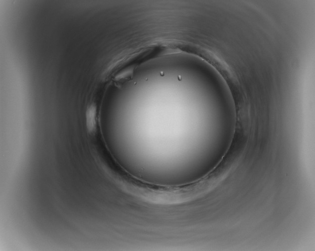 X0000113090024200908281252