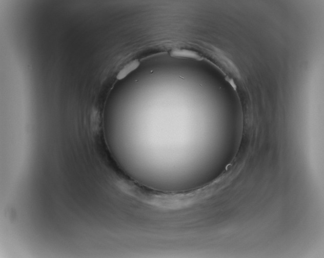 X0000113090025200908281252