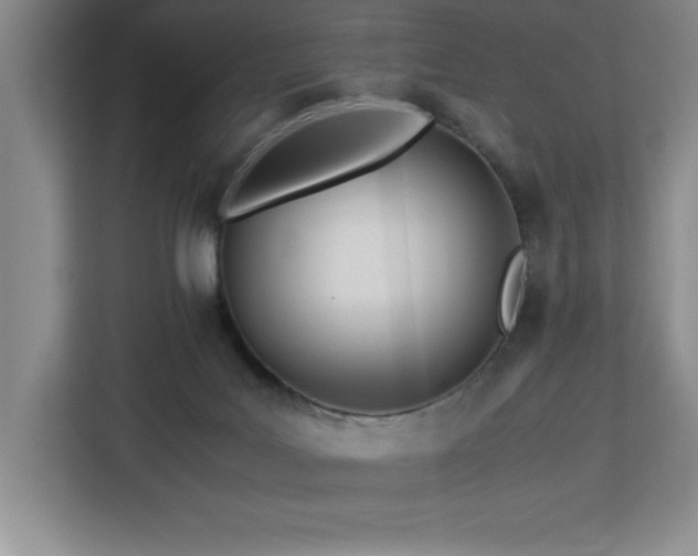 X0000113090027200908281252